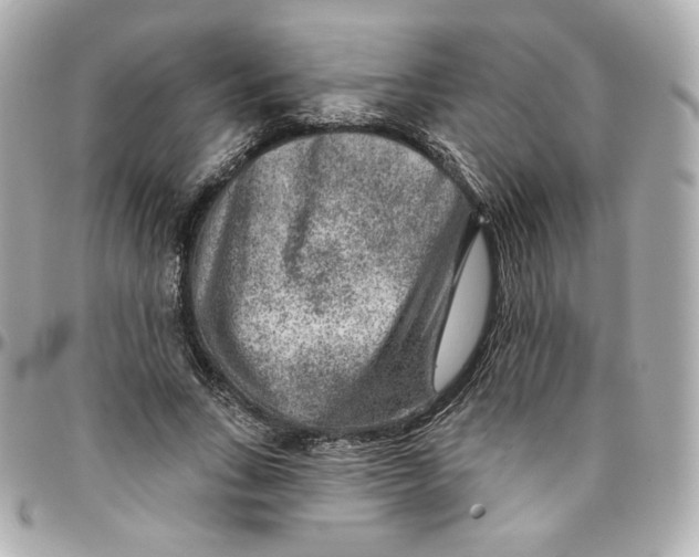 X0000095880735200802011043