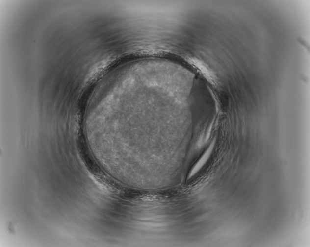 X0000095880736200802011044