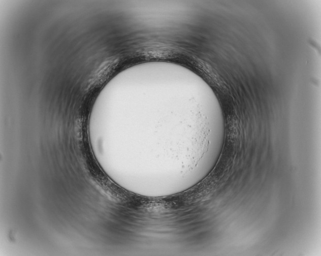 X0000095880738200802011044