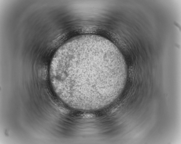 X0000095880741200802011044