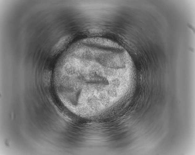 X0000095880742200802011044