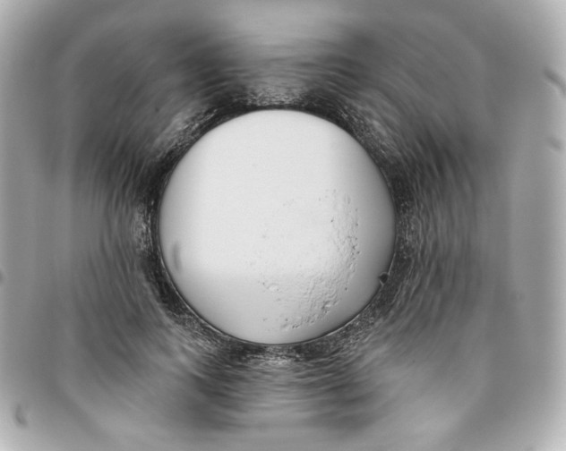 X0000095880743200802011044