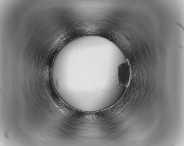 X0000095880744200802011044