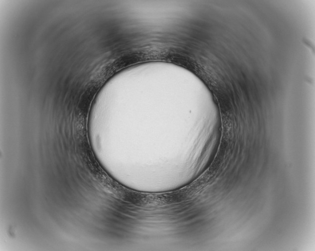 X0000095880745200802011044