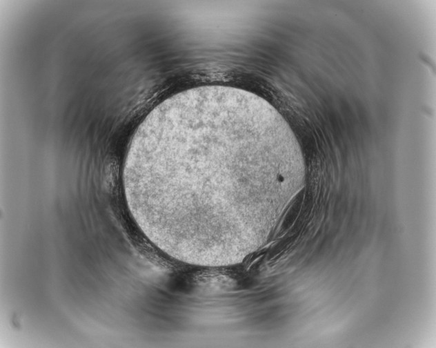 X0000095880747200802011044