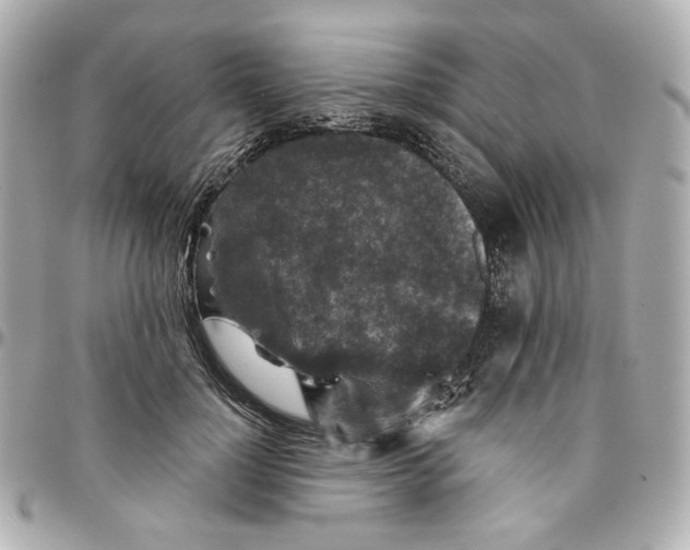 X0000095880748200802011044