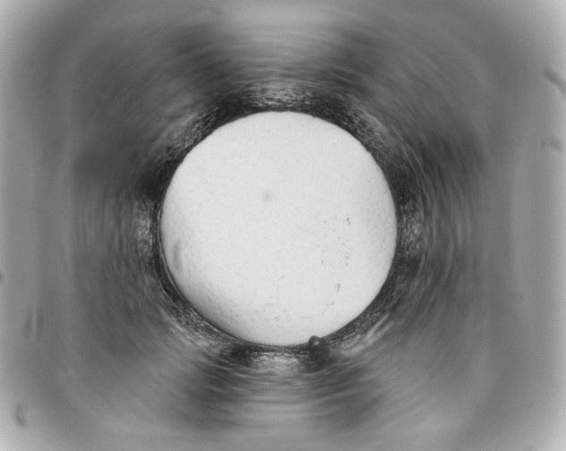 X0000095880749200802011044