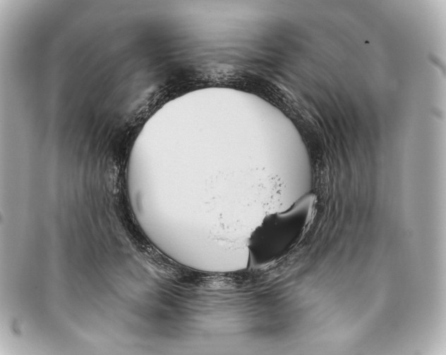 X0000095880750200802011044