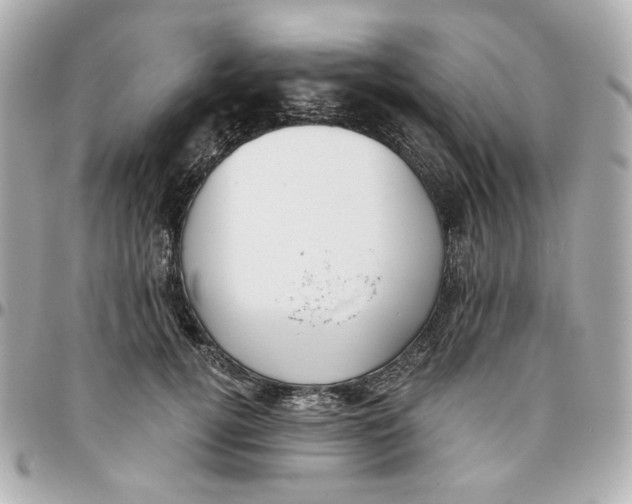 X0000095880752200802011044