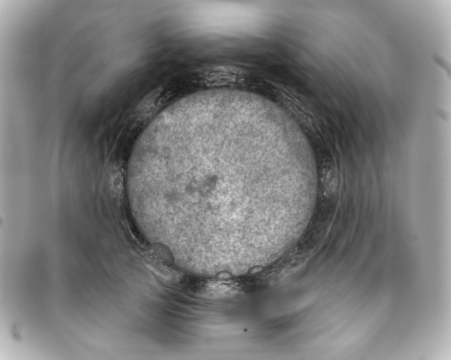 X0000095880753200802011044