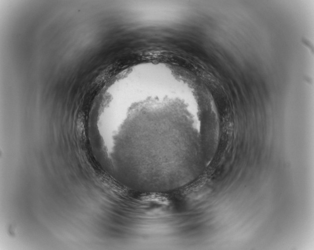 X0000095880754200802011044