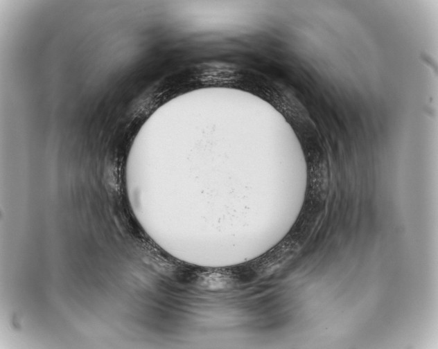 X0000095880755200802011044