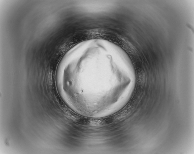 X0000095880757200802011044