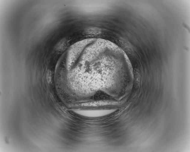 X0000095880758200802011044