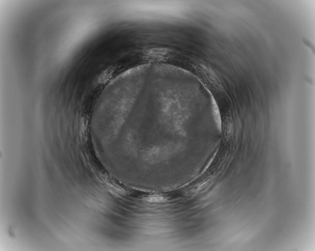 X0000095880759200802011044