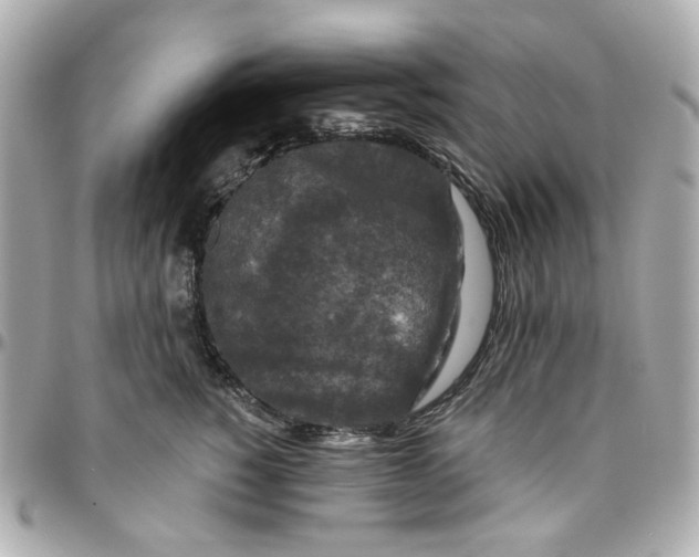 X0000095880760200802011044