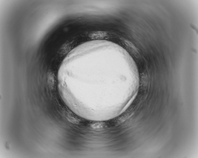 X0000095880761200802011044