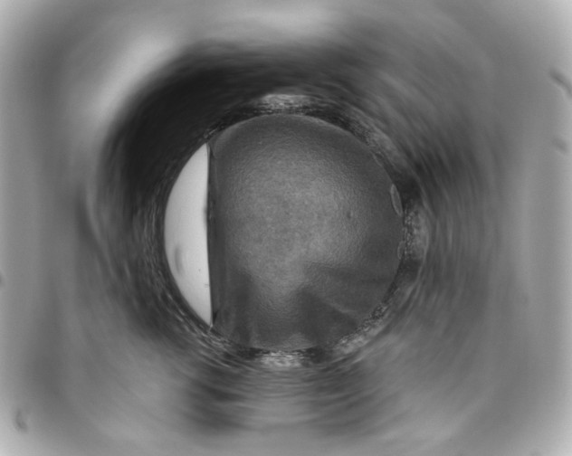 X0000095880762200802011044