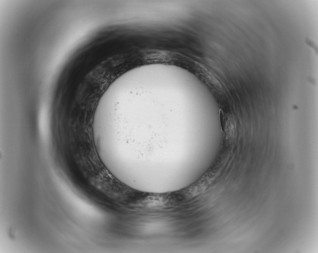 X0000095880764200802011044