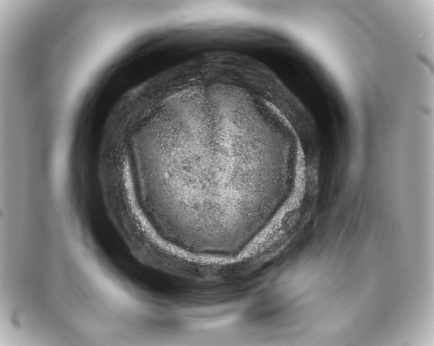 X0000095880765200802011044