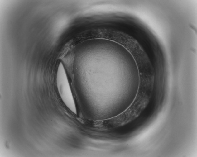 X0000095880766200802011044