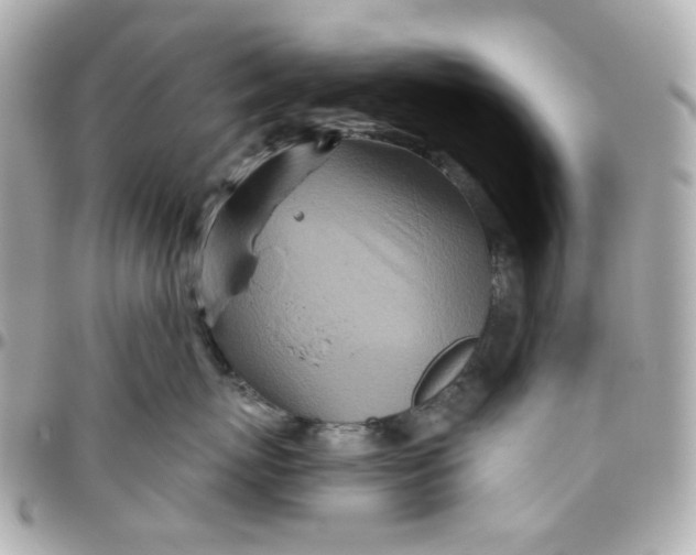 X0000095880767200802011044