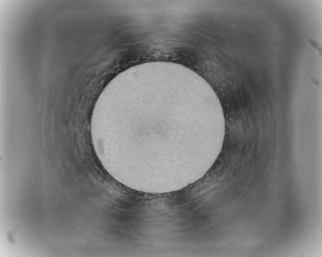 X0000095880769200802011043