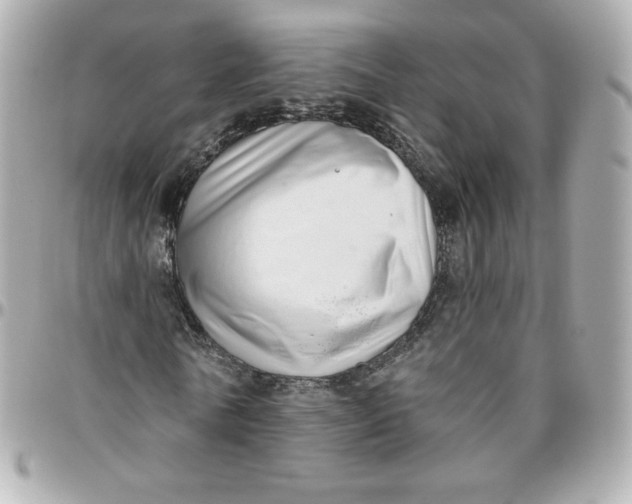 X0000095880770200802011043