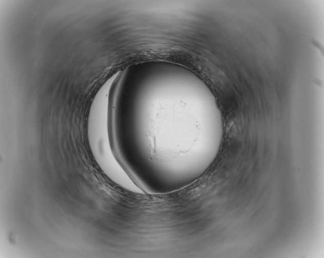 X0000095880772200802011043