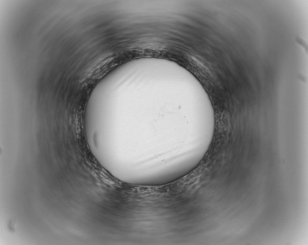 X0000095880774200802011043