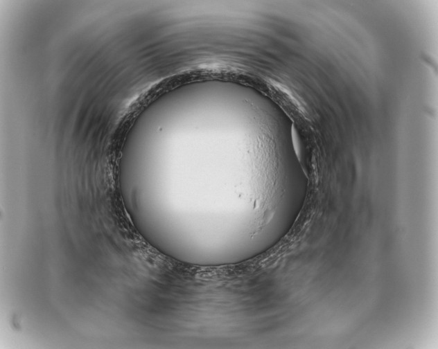 X0000095880776200802011043