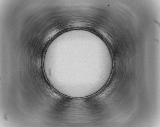 X0000095880778200802011043