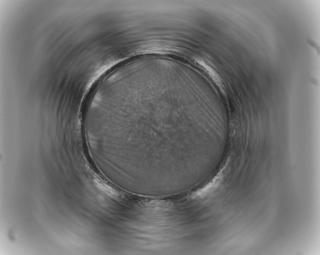 X0000095880779200802011043