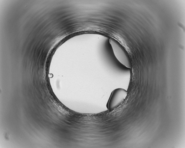 X0000095880780200802011043