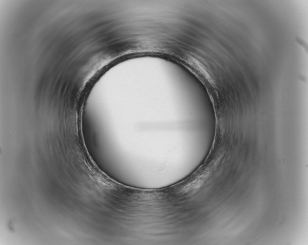 X0000095880781200802011043