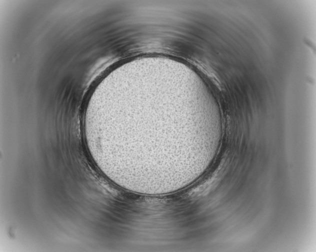 X0000095880782200802011043