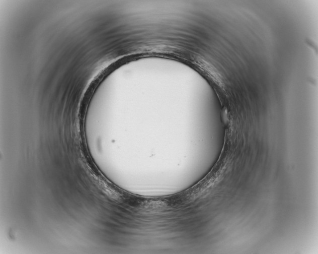 X0000095880784200802011043