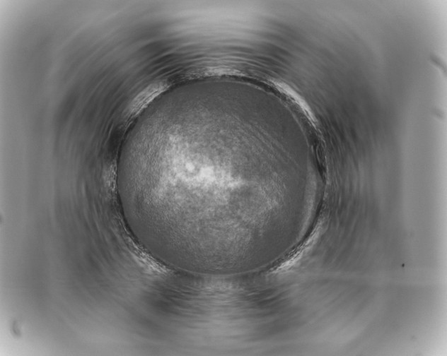 X0000095880785200802011043