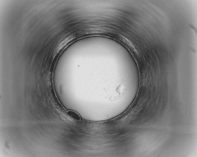 X0000095880786200802011043