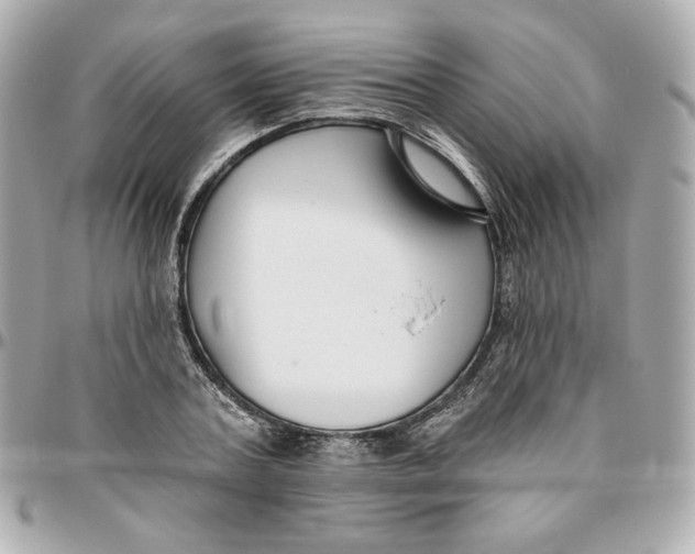 X0000095880787200802011043