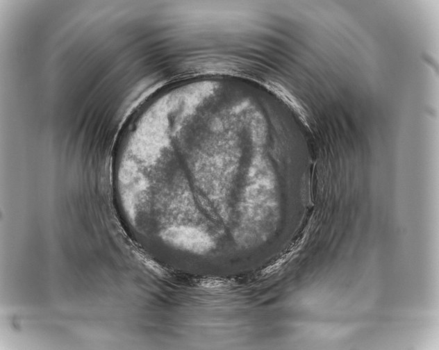 X0000095880790200802011043