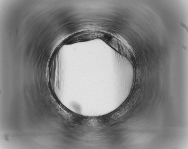 X0000095880791200802011043