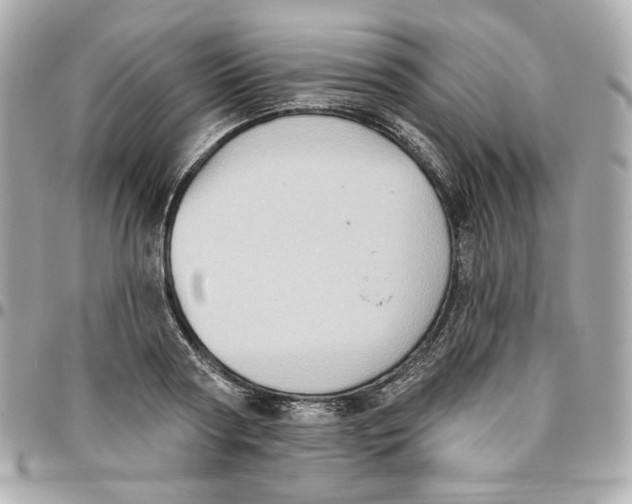 X0000095880794200802011043