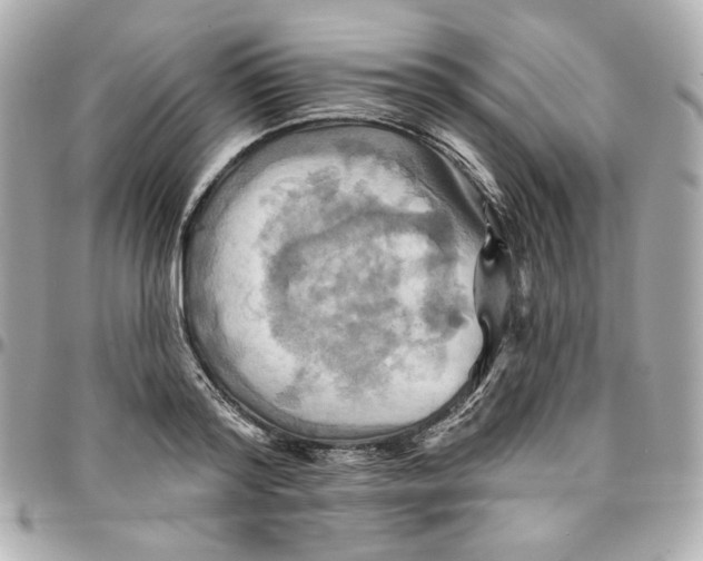 X0000095880796200802011043