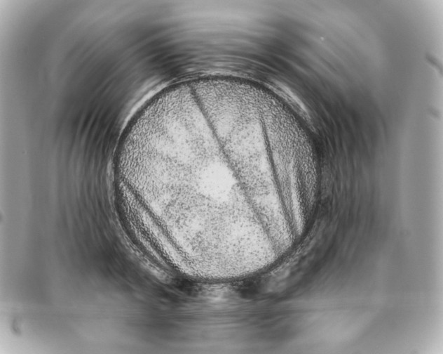 X0000095880798200802011043