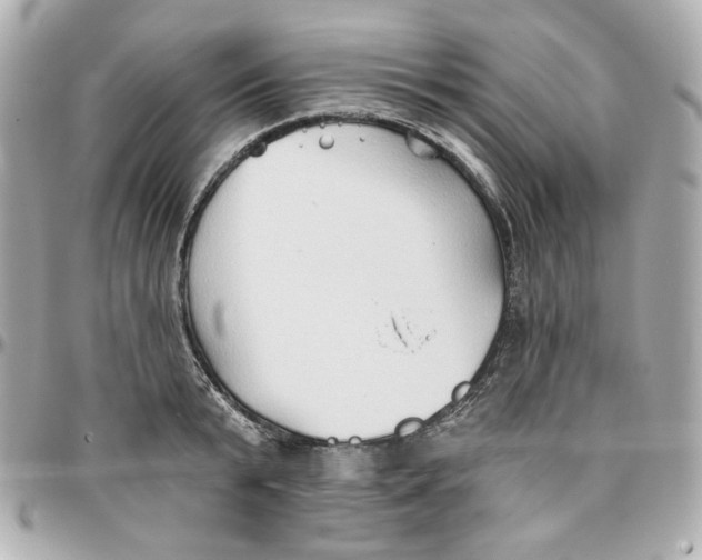 X0000095880799200802011043