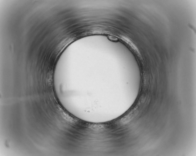 X0000095880801200802011043