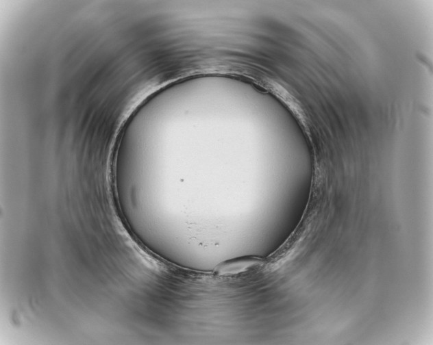 X0000095880803200802011043