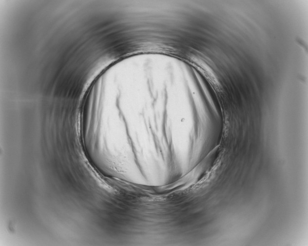 X0000095880804200802011043