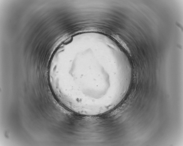 X0000095880805200802011043